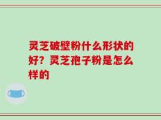 灵芝破壁粉什么形状的好？灵芝孢子粉是怎么样的