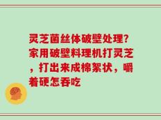 灵芝菌丝体破壁处理？家用破壁料理机打灵芝，打出来成棉絮状，嚼着硬怎吞吃