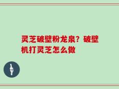灵芝破壁粉龙泉？破壁机打灵芝怎么做