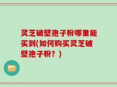 灵芝破壁孢子粉哪里能买到(如何购买灵芝破壁孢子粉？)