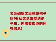 灵芝破壁之后就是孢子粉吗(从灵芝破壁到孢子粉，你需要知道的所有信息)