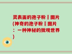 灵表面的孢子粉沬图片(神奇的孢子粉沬图片：一种神秘的微观世界)