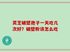 灵芝破壁孢子一天吃几次好？破壁粉该怎么吃