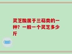 灵芝酸属于三萜类的一种？一般一个灵芝多少斤