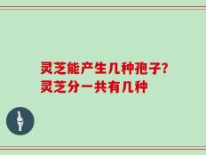 灵芝能产生几种孢子？灵芝分一共有几种