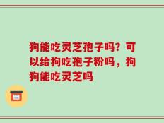 狗能吃灵芝孢子吗？可以给狗吃孢子粉吗，狗狗能吃灵芝吗