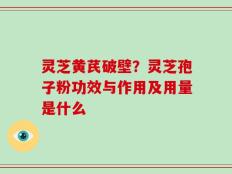 灵芝黄芪破壁？灵芝孢子粉功效与作用及用量是什么