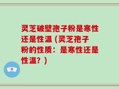 灵芝破壁孢子粉是寒性还是性温 (灵芝孢子粉的性质：是寒性还是性温？)