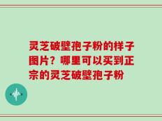 灵芝破壁孢子粉的样子图片？哪里可以买到正宗的灵芝破壁孢子粉