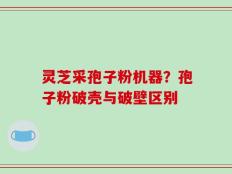 灵芝采孢子粉机器？孢子粉破壳与破壁区别