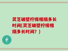 灵芝破壁柠檬相隔多长时间(灵芝破壁柠檬相隔多长时间？)