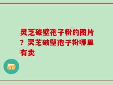 灵芝破壁孢子粉的图片？灵芝破壁孢子粉哪里有卖