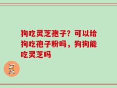 狗吃灵芝孢子？可以给狗吃孢子粉吗，狗狗能吃灵芝吗