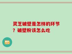 灵芝破壁是怎样的环节？破壁粉该怎么吃