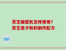 灵芝破壁机怎样使用？灵芝孢子粉的制作配方