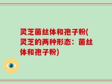 灵芝菌丝体和孢子粉(灵芝的两种形态：菌丝体和孢子粉)