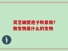 灵芝破壁孢子粉显微？微生物是什么的生物