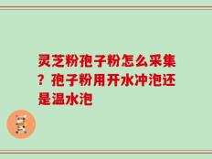 灵芝粉孢子粉怎么采集？孢子粉用开水冲泡还是温水泡