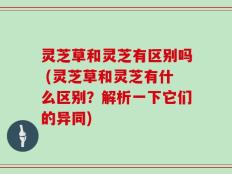 灵芝草和灵芝有区别吗 (灵芝草和灵芝有什么区别？解析一下它们的异同)