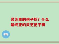 灵芝里的孢子粉？什么是纯正的灵芝孢子粉