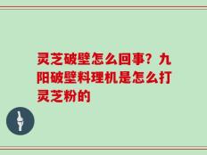 灵芝破壁怎么回事？九阳破壁料理机是怎么打灵芝粉的