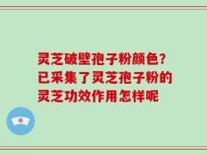 灵芝破壁孢子粉颜色？已采集了灵芝孢子粉的灵芝功效作用怎样呢