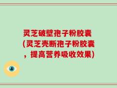 灵芝破壁孢子粉胶囊 (灵芝壳断孢子粉胶囊，提高营养吸收效果)