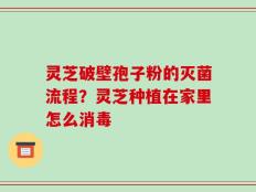 灵芝破壁孢子粉的灭菌流程？灵芝种植在家里怎么消毒