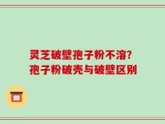 灵芝破壁孢子粉不溶？孢子粉破壳与破壁区别
