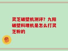 灵芝破壁机测评？九阳破壁料理机是怎么打灵芝粉的