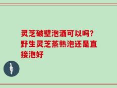 灵芝破壁泡酒可以吗？野生灵芝蒸熟泡还是直接泡好