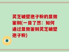 灵芝破壁孢子粉的显微鉴别(一目了然：如何通过显微鉴别灵芝破壁孢子粉)
