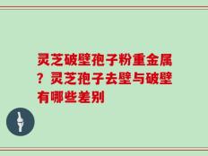 灵芝破壁孢子粉重金属？灵芝孢子去壁与破壁有哪些差别