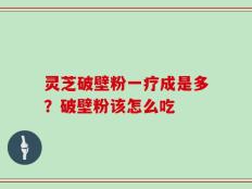 灵芝破壁粉一疗成是多？破壁粉该怎么吃