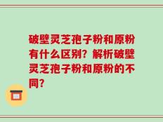 破壁灵芝孢子粉和原粉有什么区别？解析破壁灵芝孢子粉和原粉的不同？
