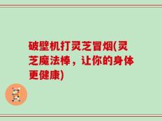 破壁机打灵芝冒烟(灵芝魔法棒，让你的身体更健康)