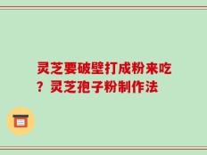 灵芝要破壁打成粉来吃？灵芝孢子粉制作法