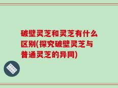 破壁灵芝和灵芝有什么区别(探究破壁灵芝与普通灵芝的异同)