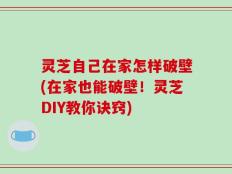 灵芝自己在家怎样破壁(在家也能破壁！灵芝DIY教你诀窍)