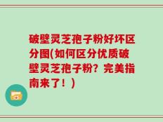 破壁灵芝孢子粉好坏区分图(如何区分优质破壁灵芝孢子粉？完美指南来了！)