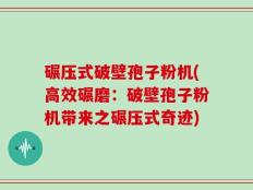 碾压式破壁孢子粉机(高效碾磨：破壁孢子粉机带来之碾压式奇迹)