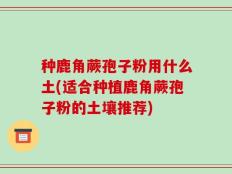 种鹿角蕨孢子粉用什么土(适合种植鹿角蕨孢子粉的土壤推荐)