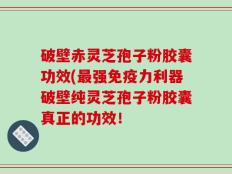 破壁赤灵芝孢子粉胶囊功效(最强免疫力利器破壁纯灵芝孢子粉胶囊真正的功效！