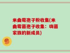 米曲霉孢子粉收集(米曲霉菌孢子收集：嗨菌家族的新成员)