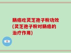 肠癌吃灵芝孢子粉功效(灵芝孢子粉对肠癌的治疗作用)