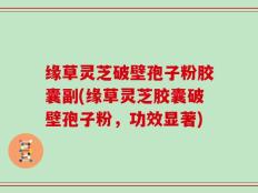 缘草灵芝破壁孢子粉胶囊副(缘草灵芝胶囊破壁孢子粉，功效显著)