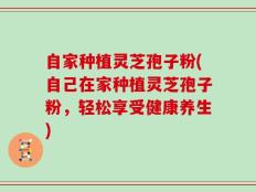 自家种植灵芝孢子粉(自己在家种植灵芝孢子粉，轻松享受健康养生)