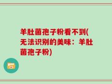 羊肚菌孢子粉看不到(无法识别的美味：羊肚菌孢子粉)