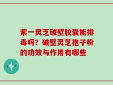 紫一灵芝破壁胶囊能排毒吗？破壁灵芝孢子粉的功效与作用有哪些