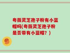 粤薇灵芝孢子粉有小蓝帽吗(粤薇灵芝孢子粉是否带有小蓝帽？)